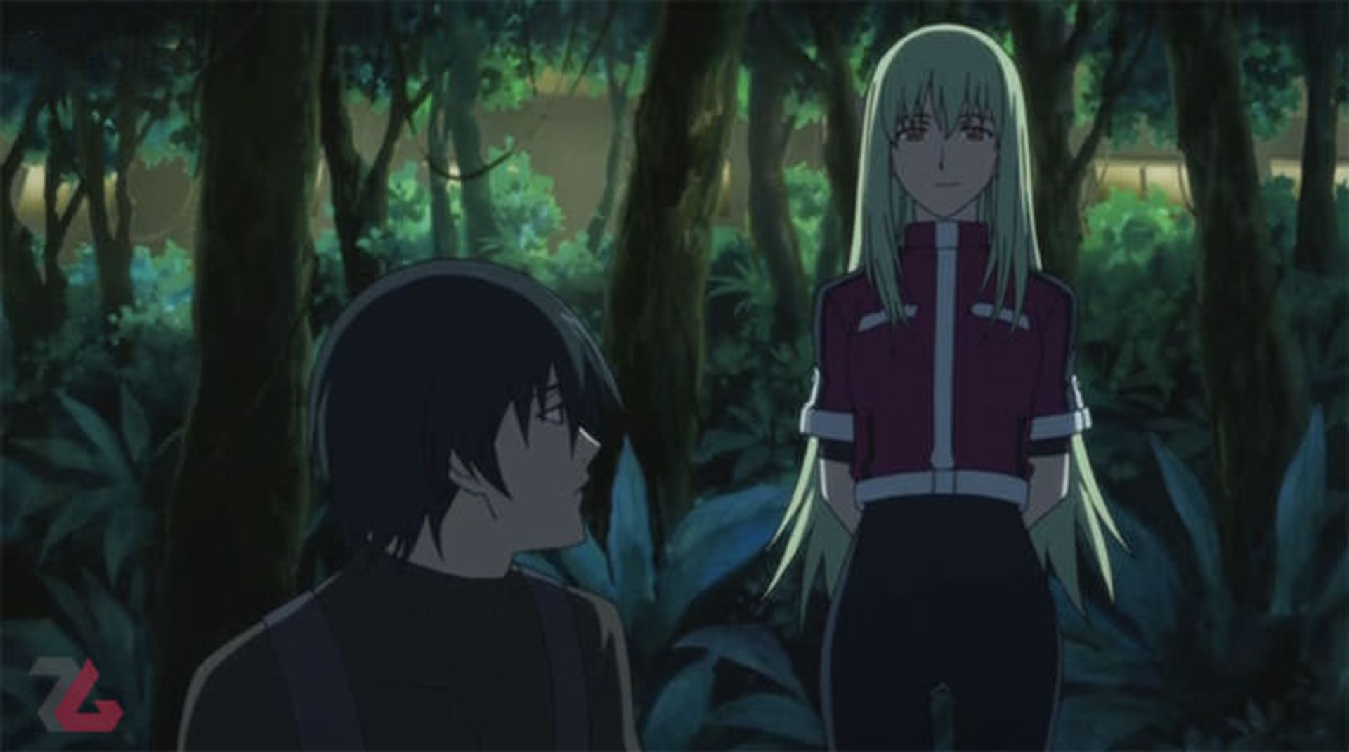 انیمه Darker than Black