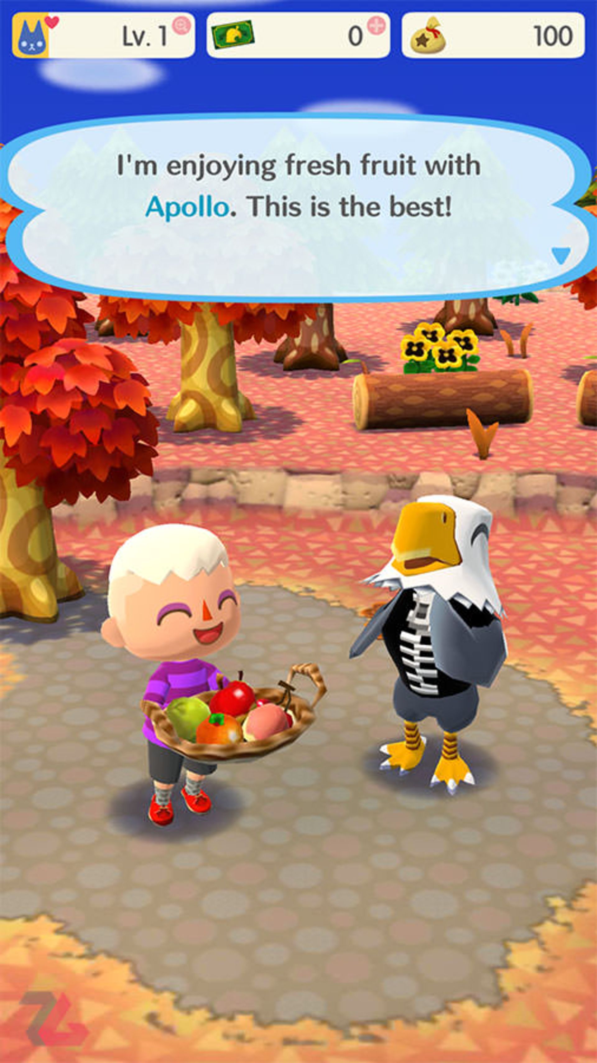 بازی موبایل Animal Crossing: Pocket Camp