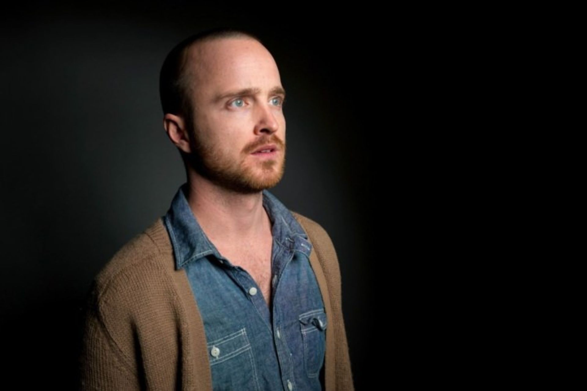 Aaron Paul