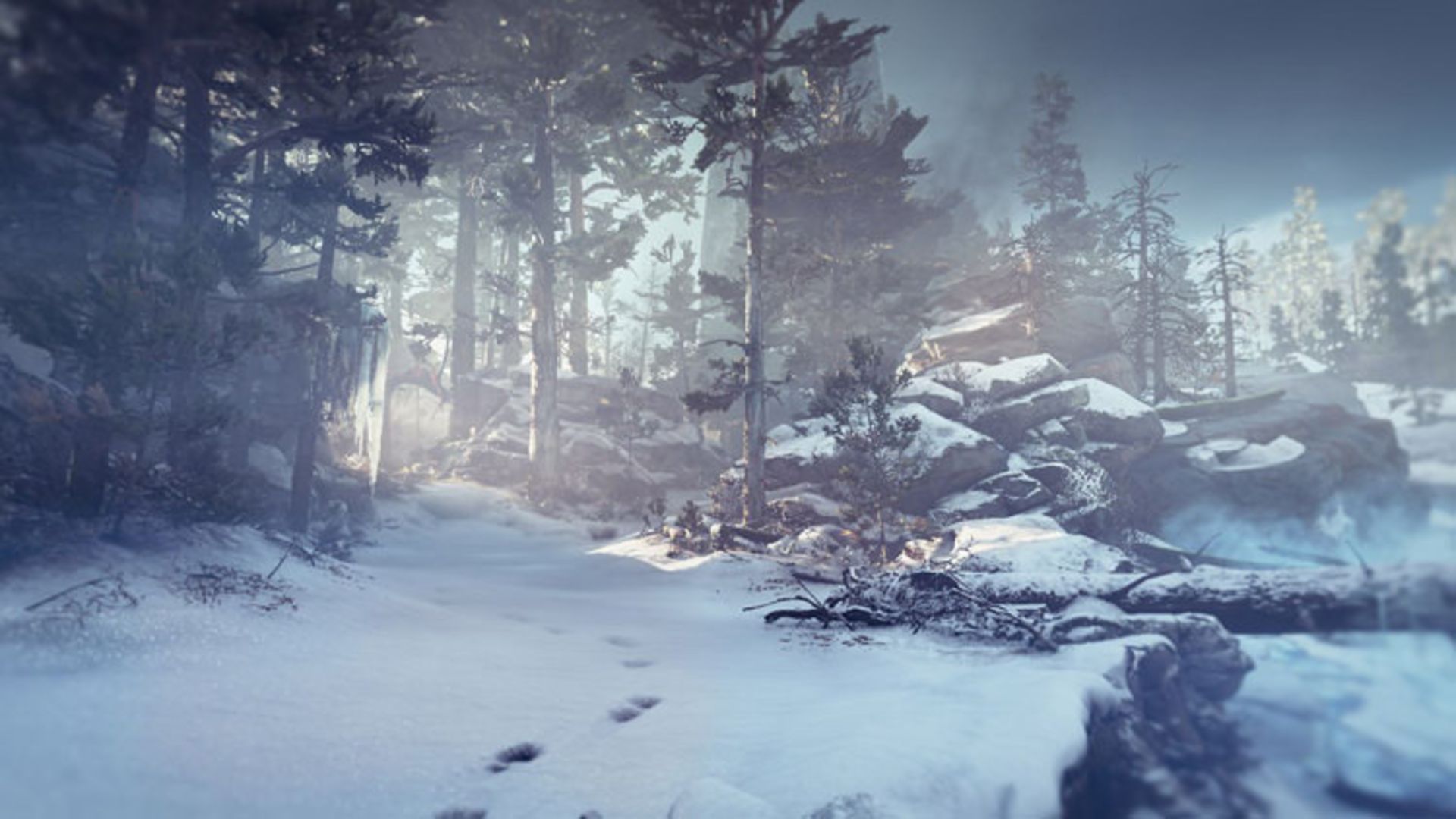God of War 