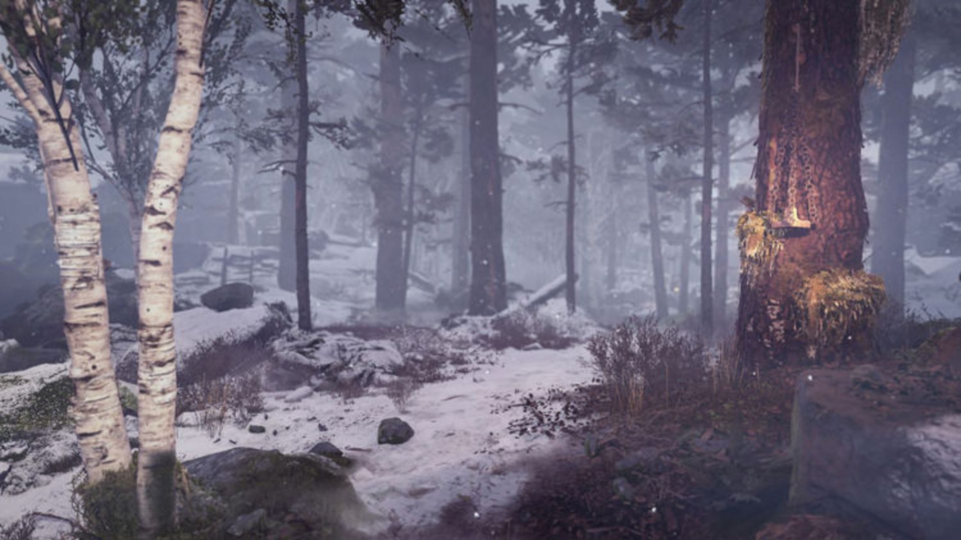 God of War 