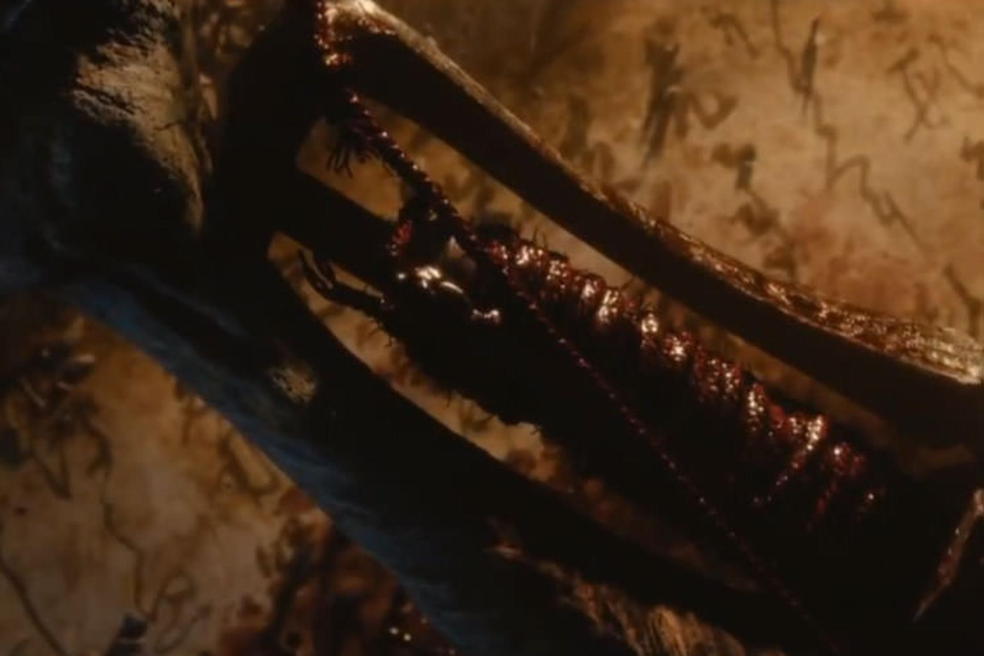From Software