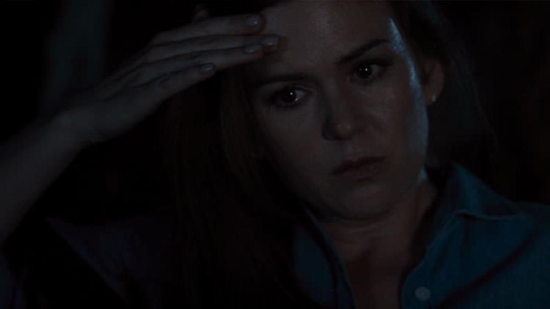 Nocturnal Animals