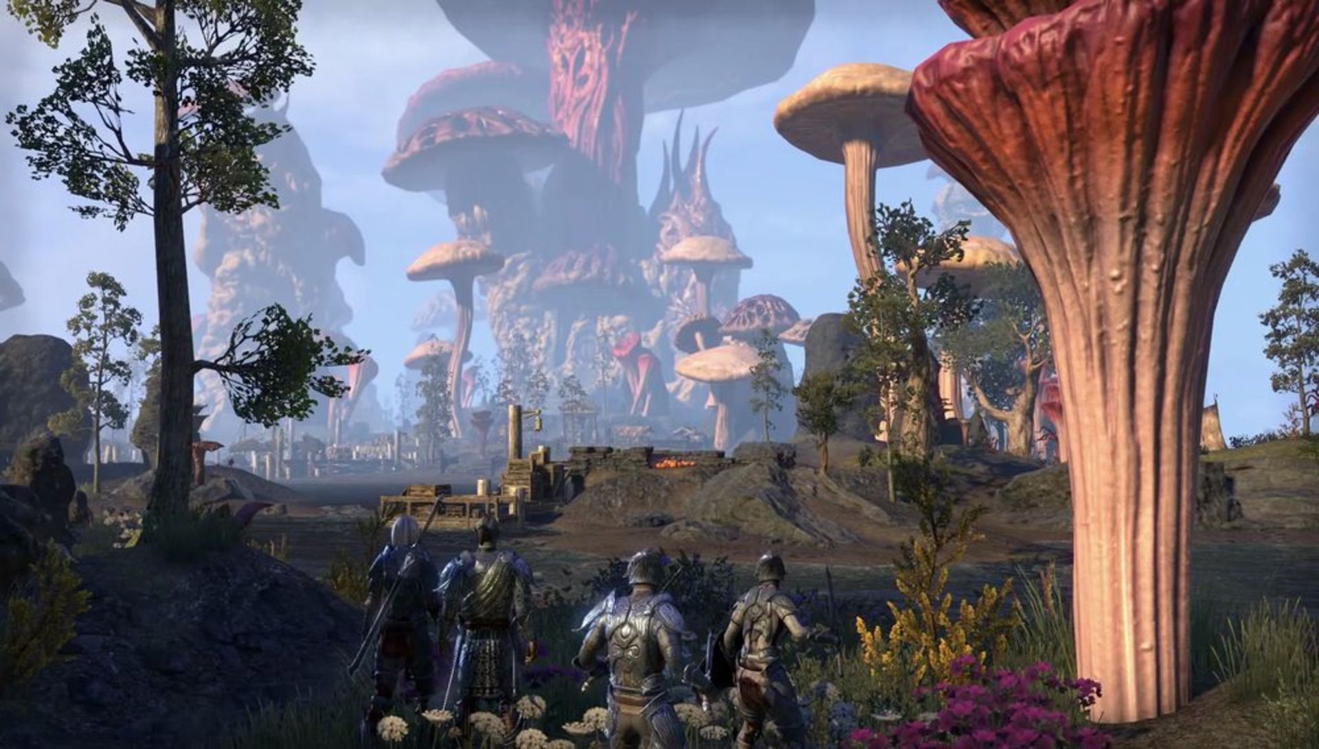 The Elder Scrolls Online