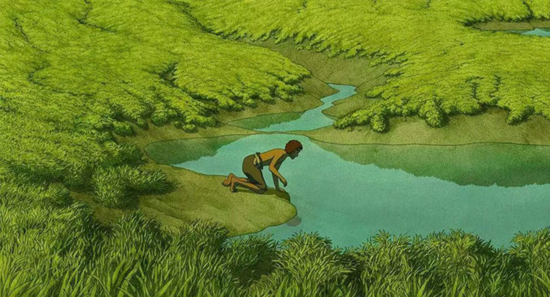 the red turtle