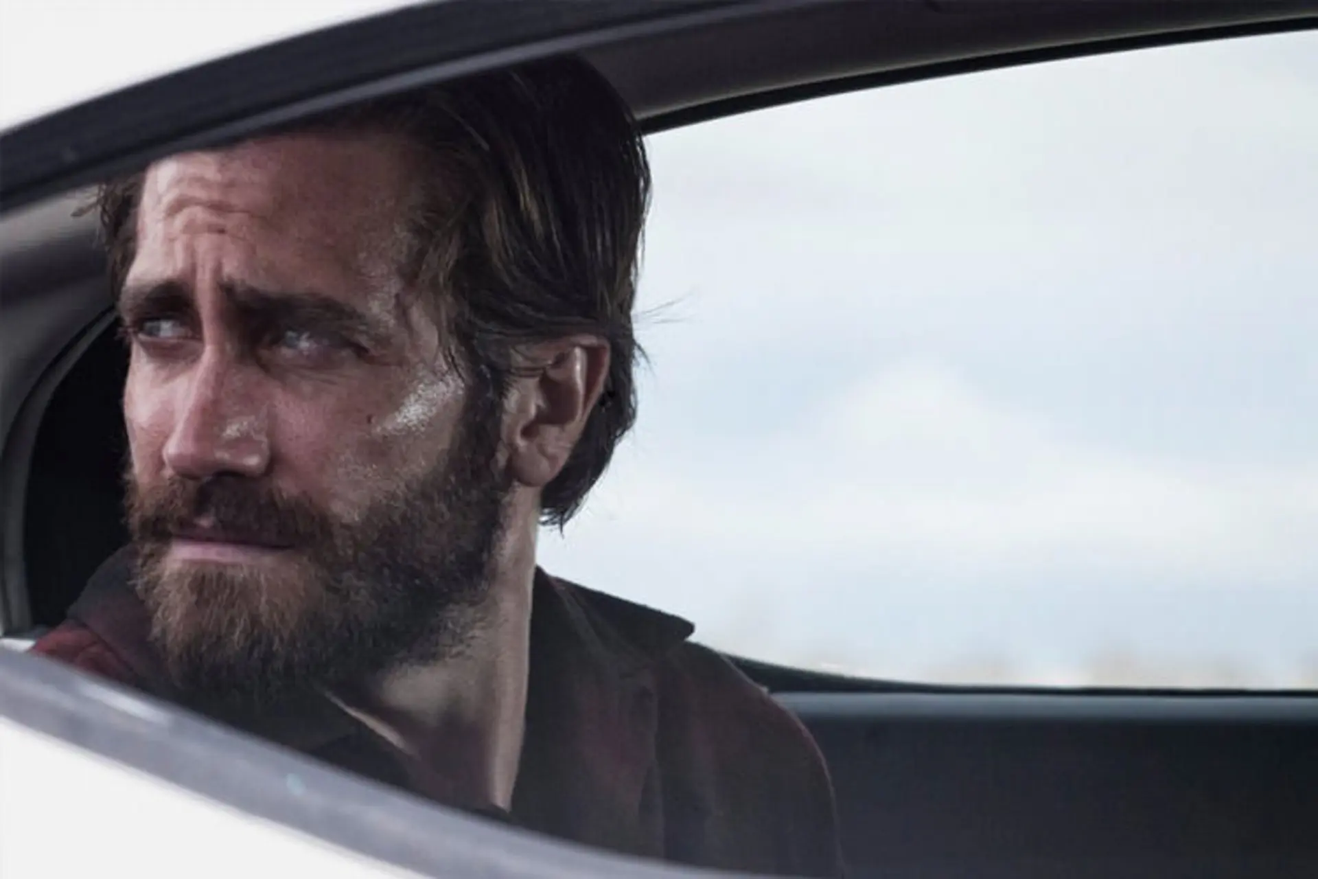 Nocturnal Animals