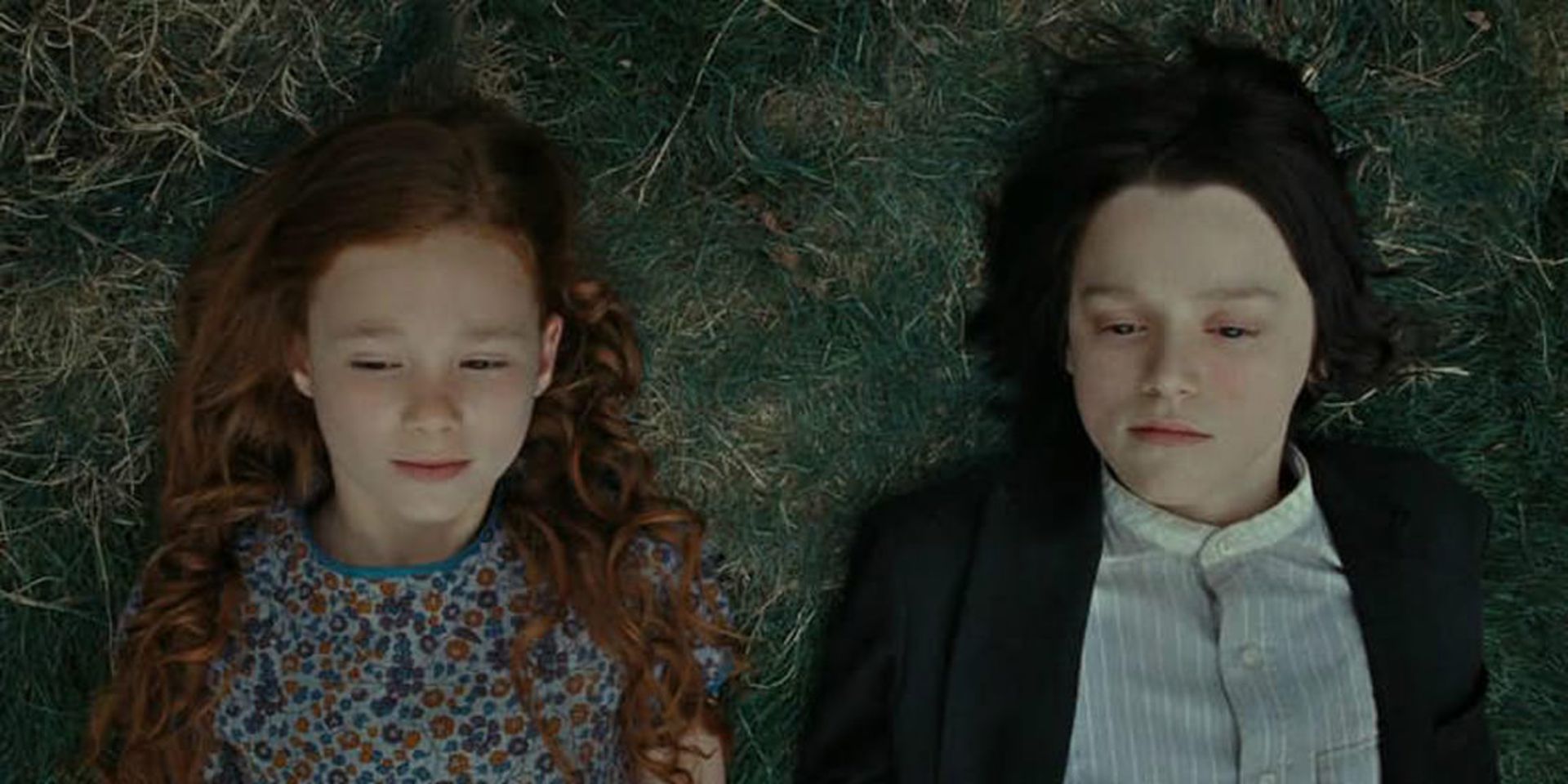 Petunia and Snape knew (and hated) each other - Harry potter