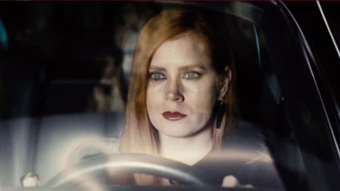 Nocturnal Animals