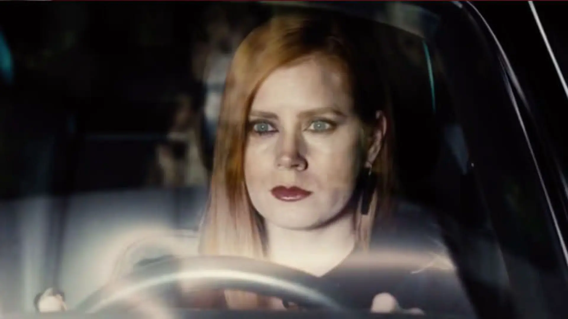 Nocturnal Animals