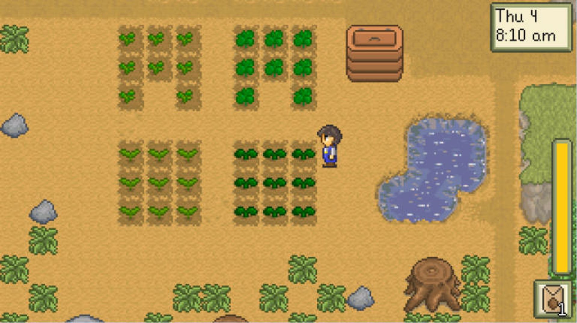 Stardew Valley