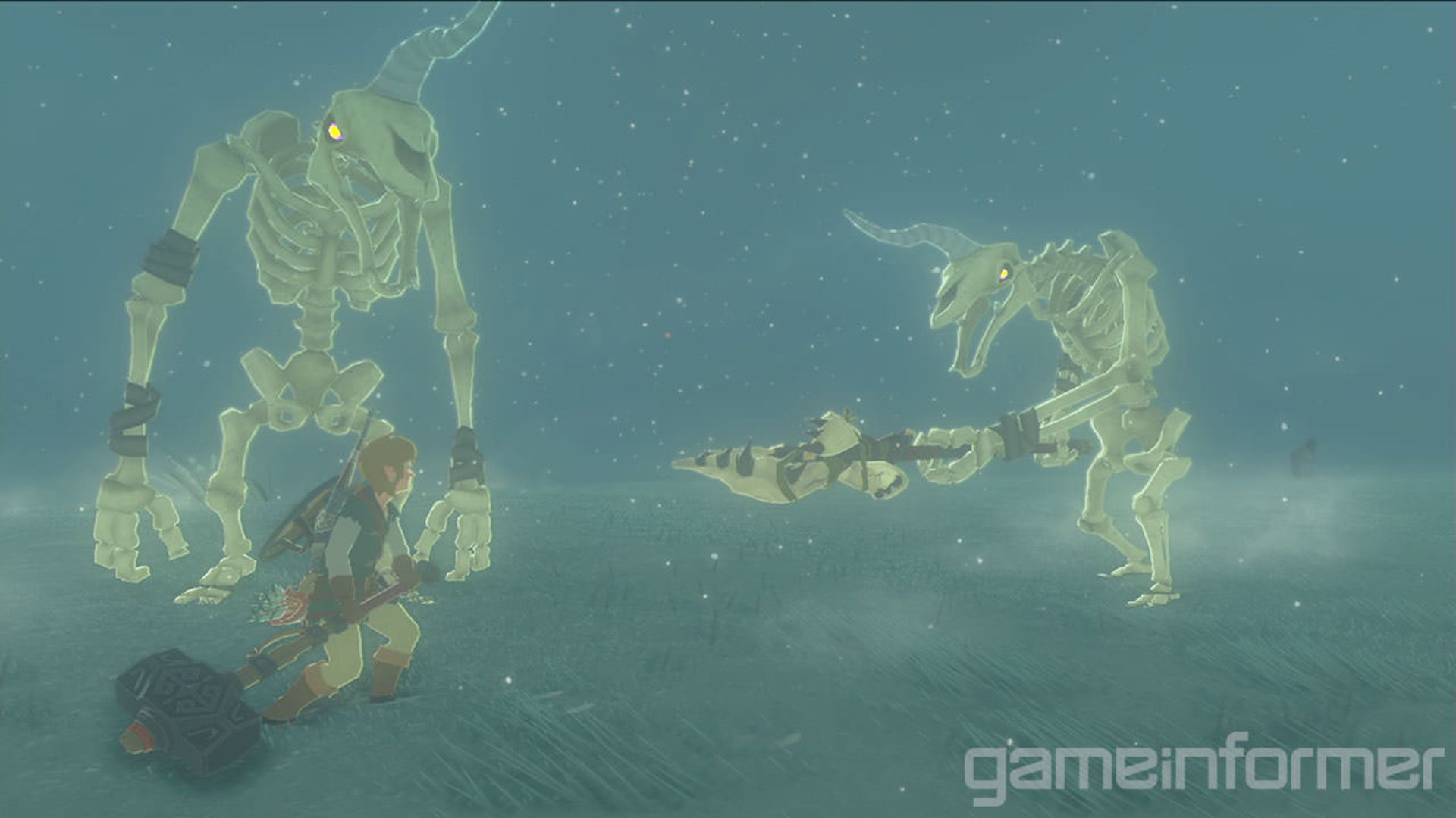 Zelda Breath of the Wild