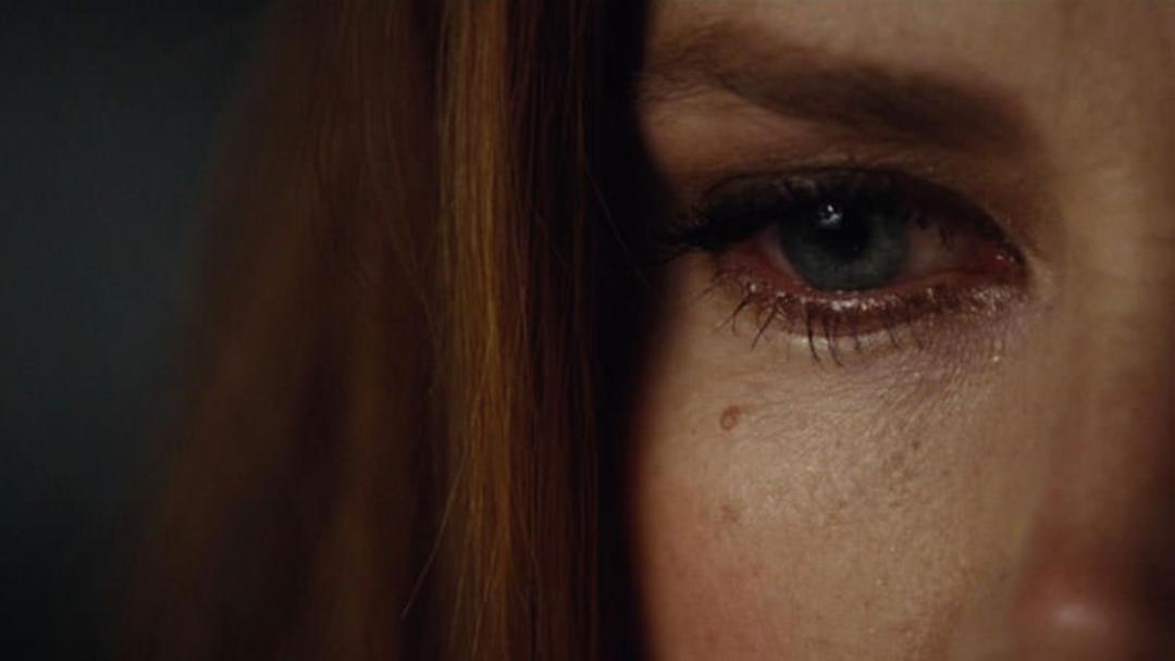Nocturnal Animals
