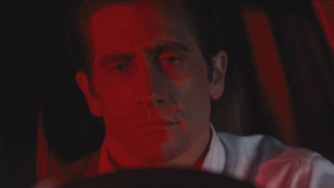 Nocturnal Animals
