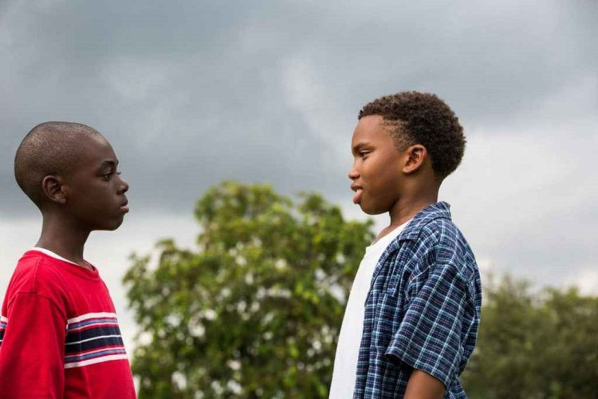 فیلم Moonlight