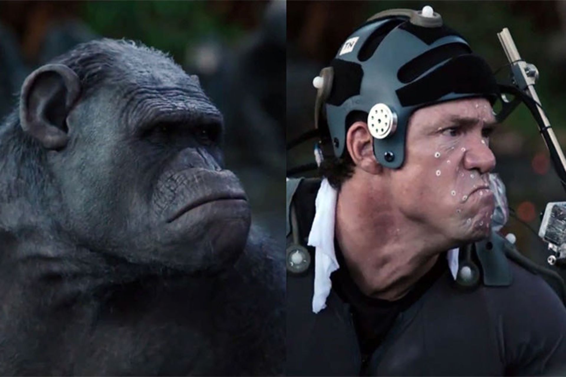 Planet of the Apes