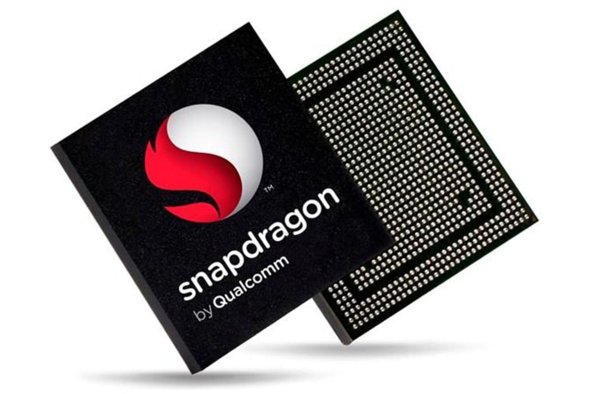 Snapdragon