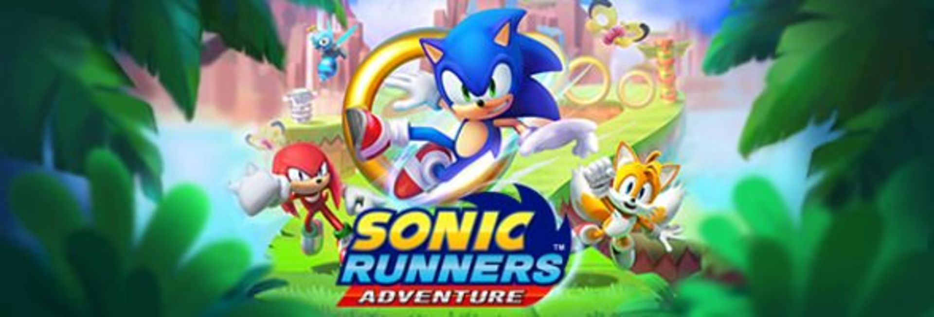 Sonic Runners Adventure
