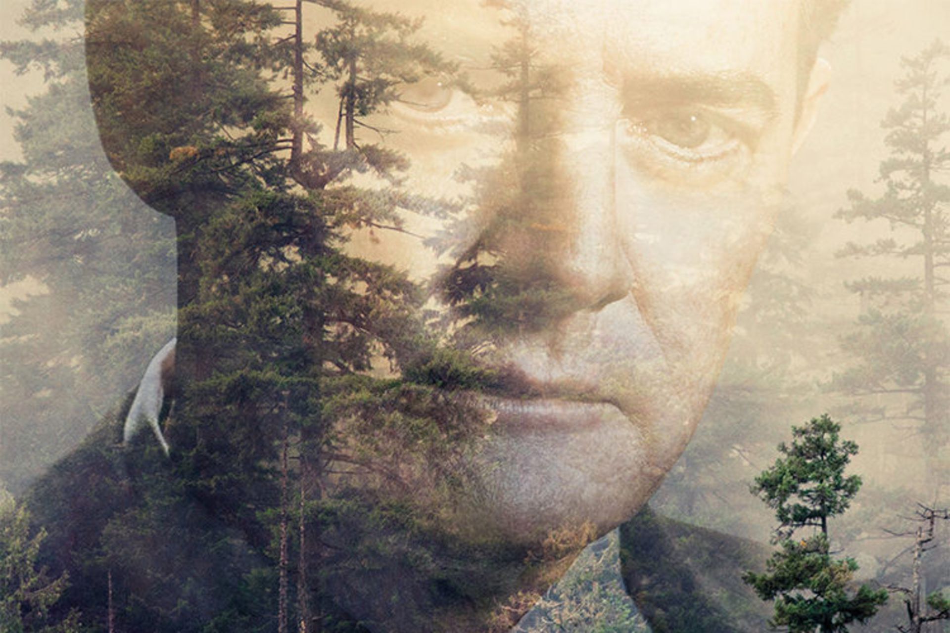 Twin Peaks
