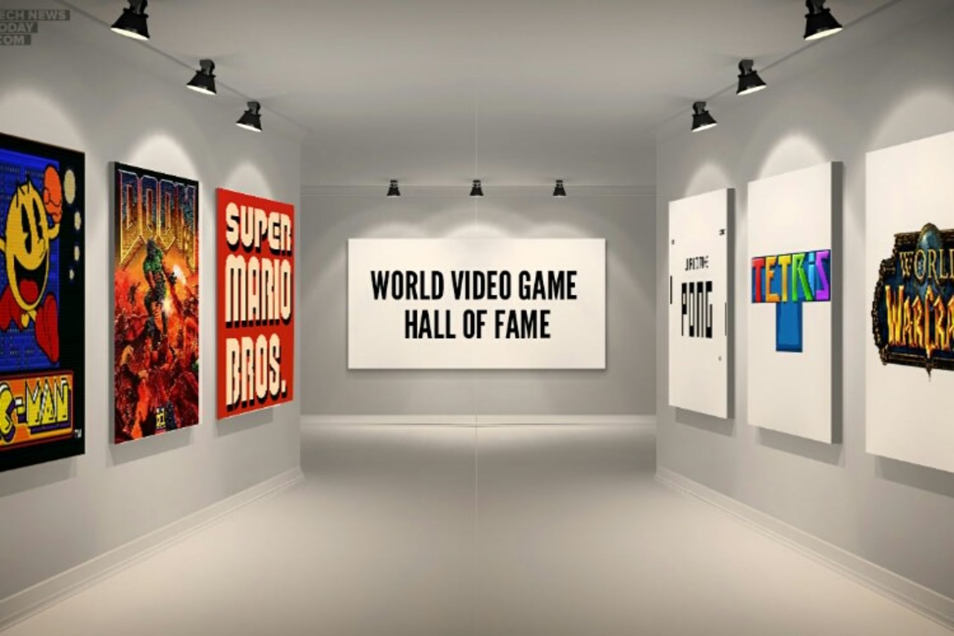World Video Game hall of Fame