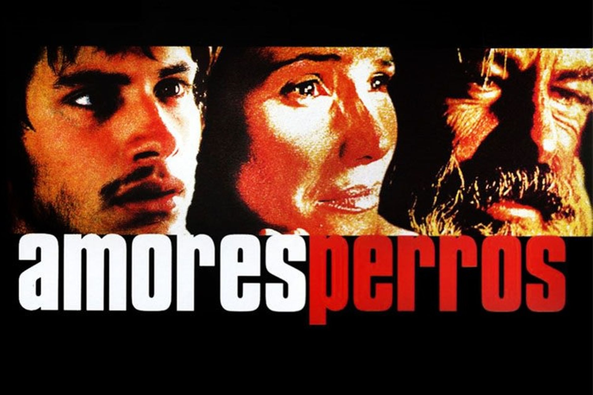 فیلم Amores Perros