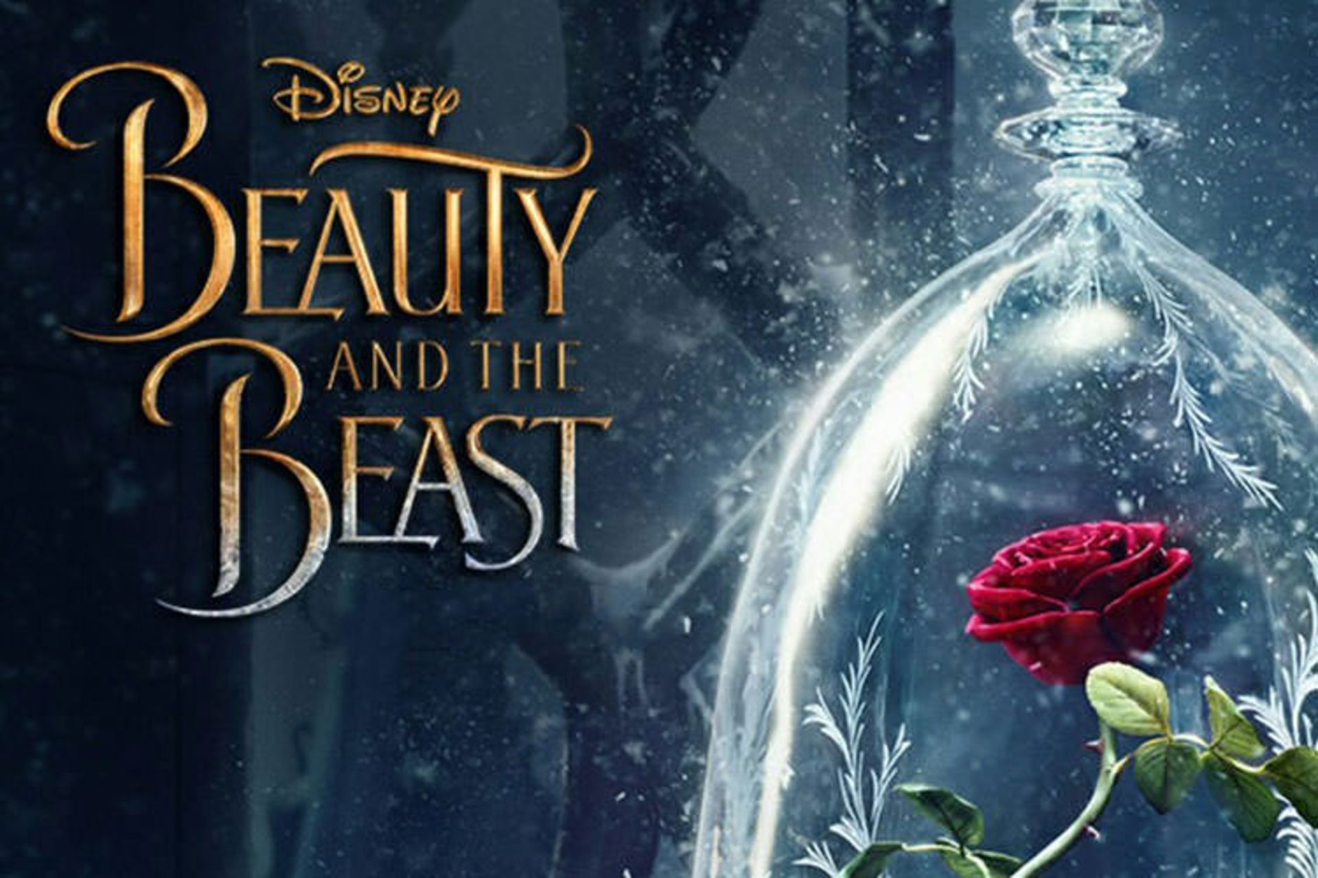 Beauty and the BEast