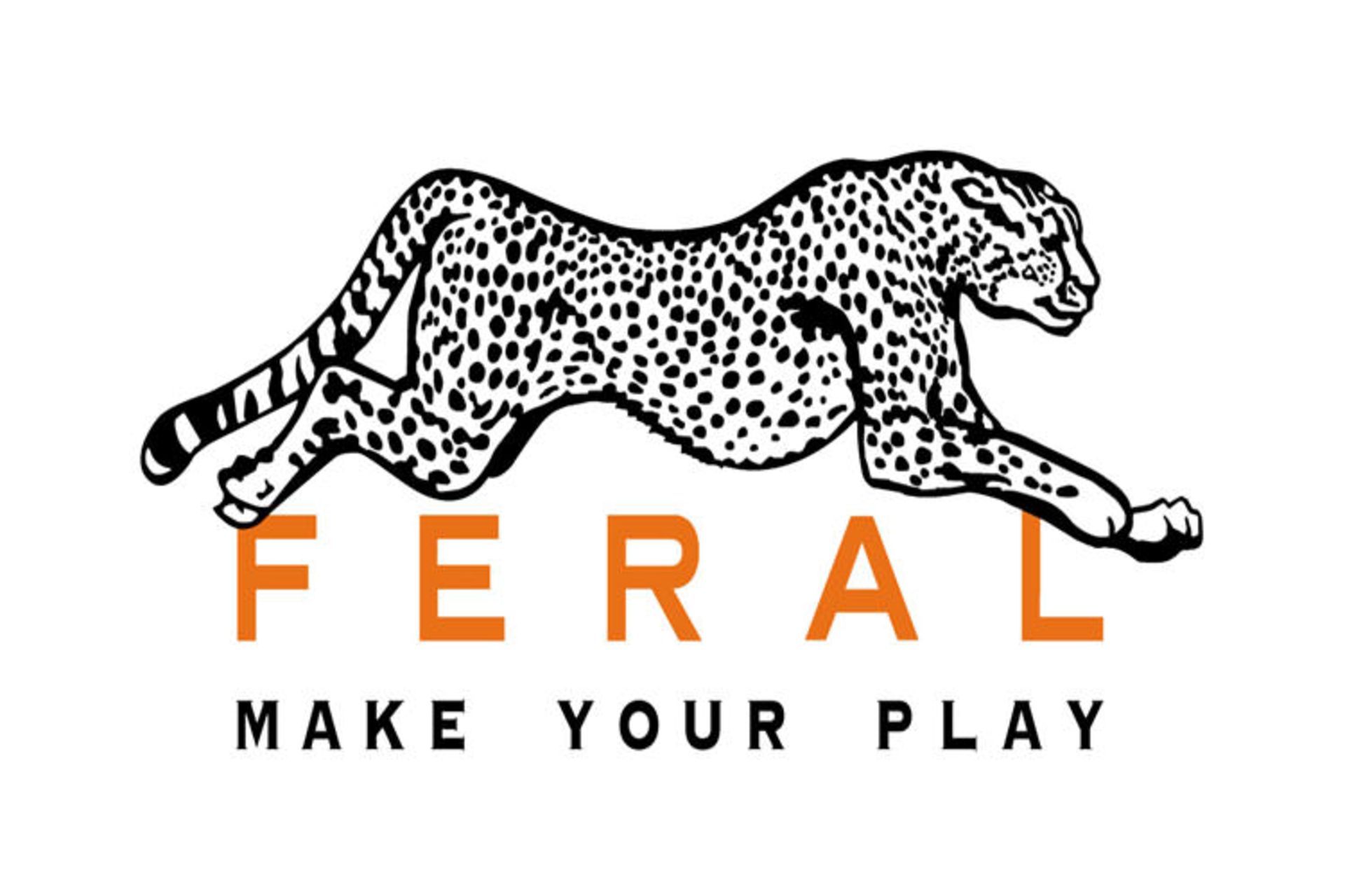 استودیو Feral Interactive