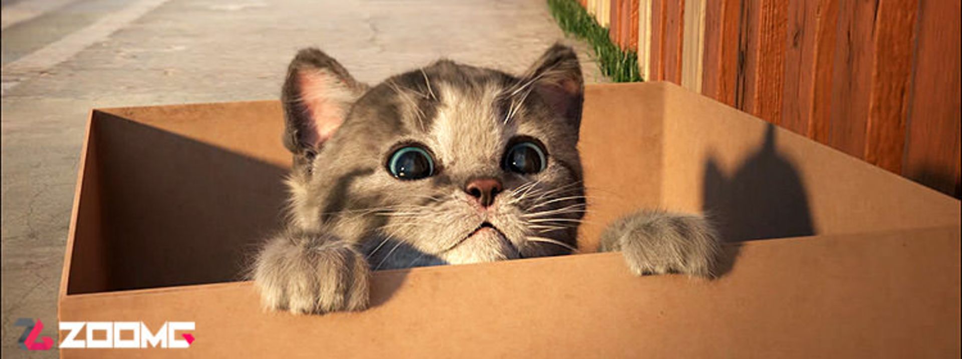 Little Kitten