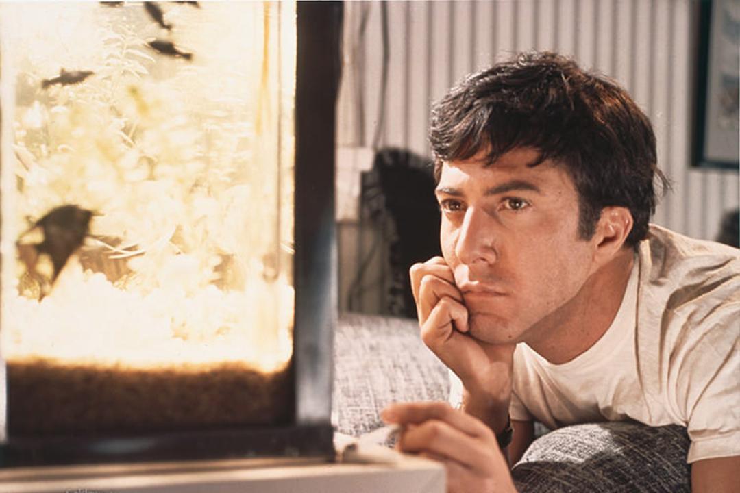 The Graduate