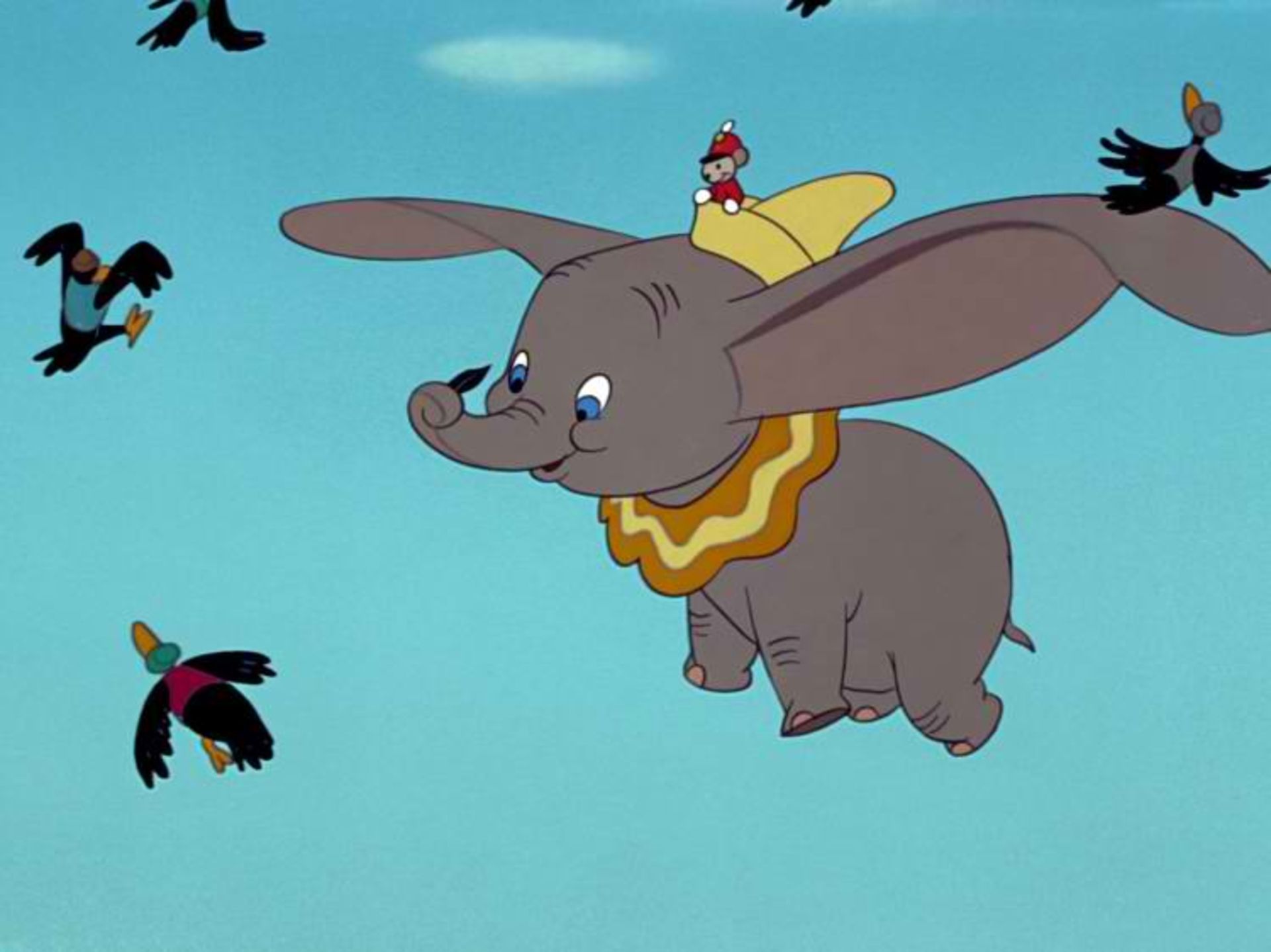 dumbo