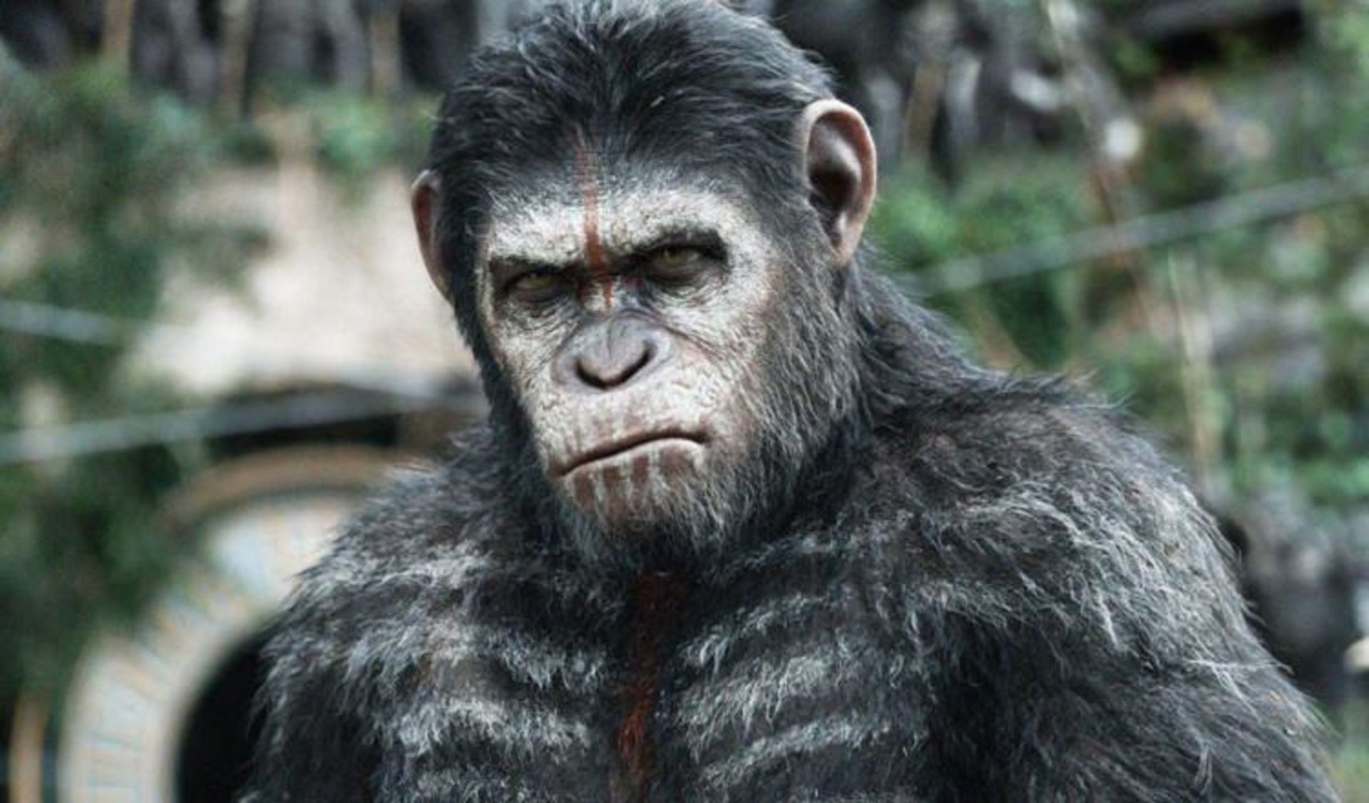 War for the Planet of the Apes