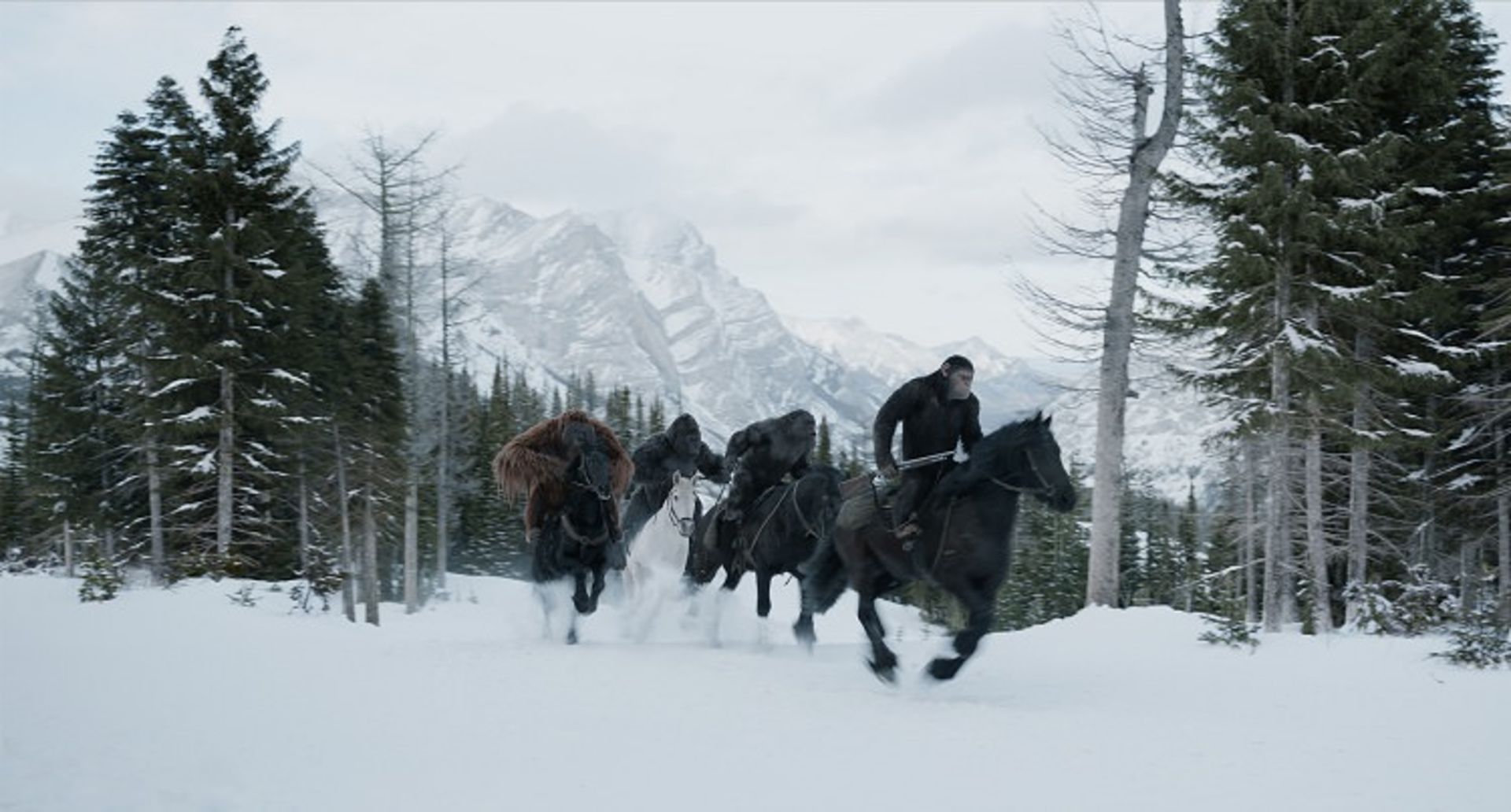 War for the Planet of the Apes فیلم