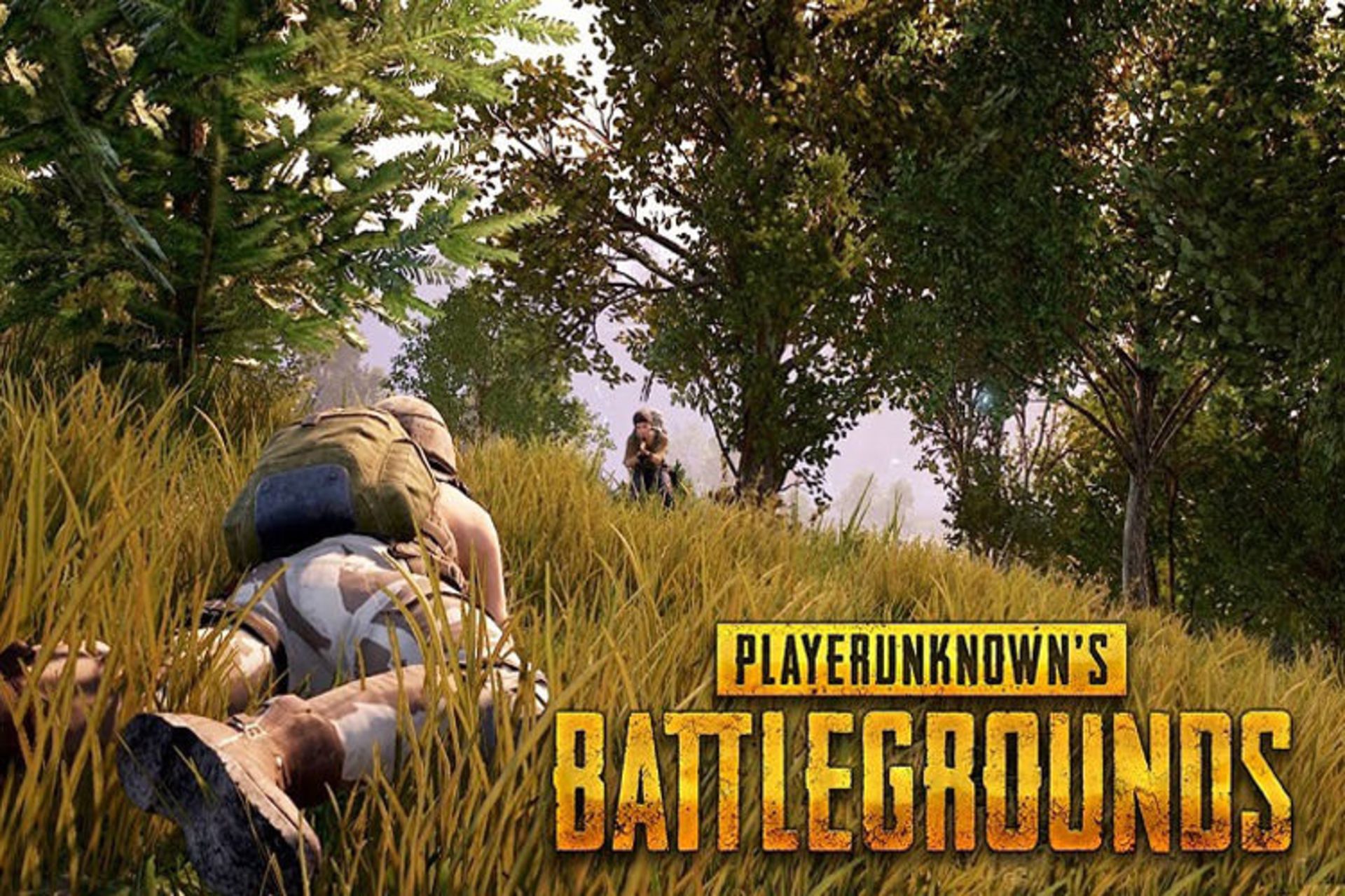 PlayerUnknown's Battlegrounds