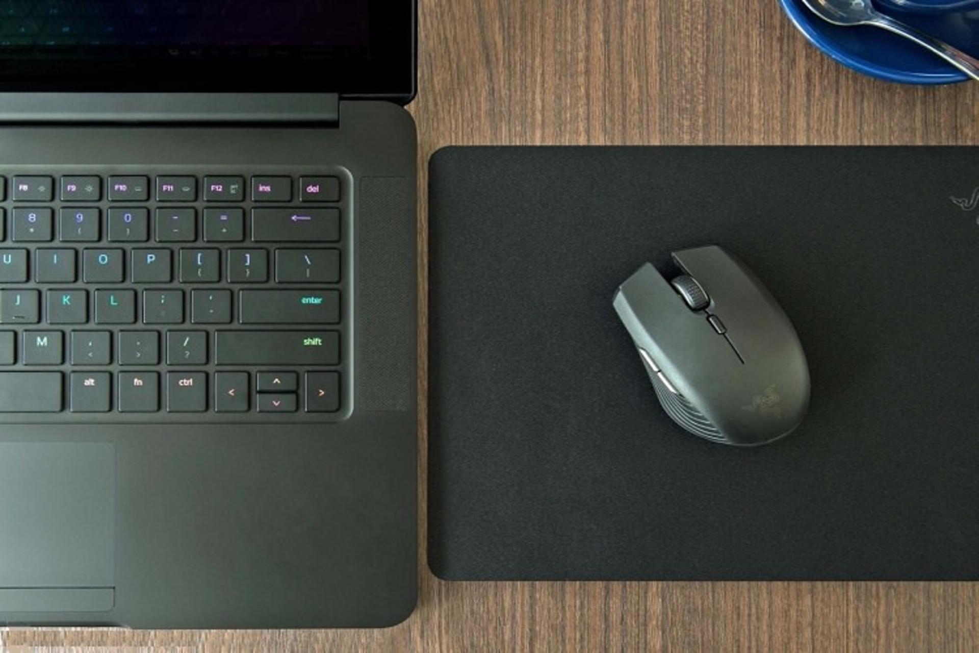 mouse
