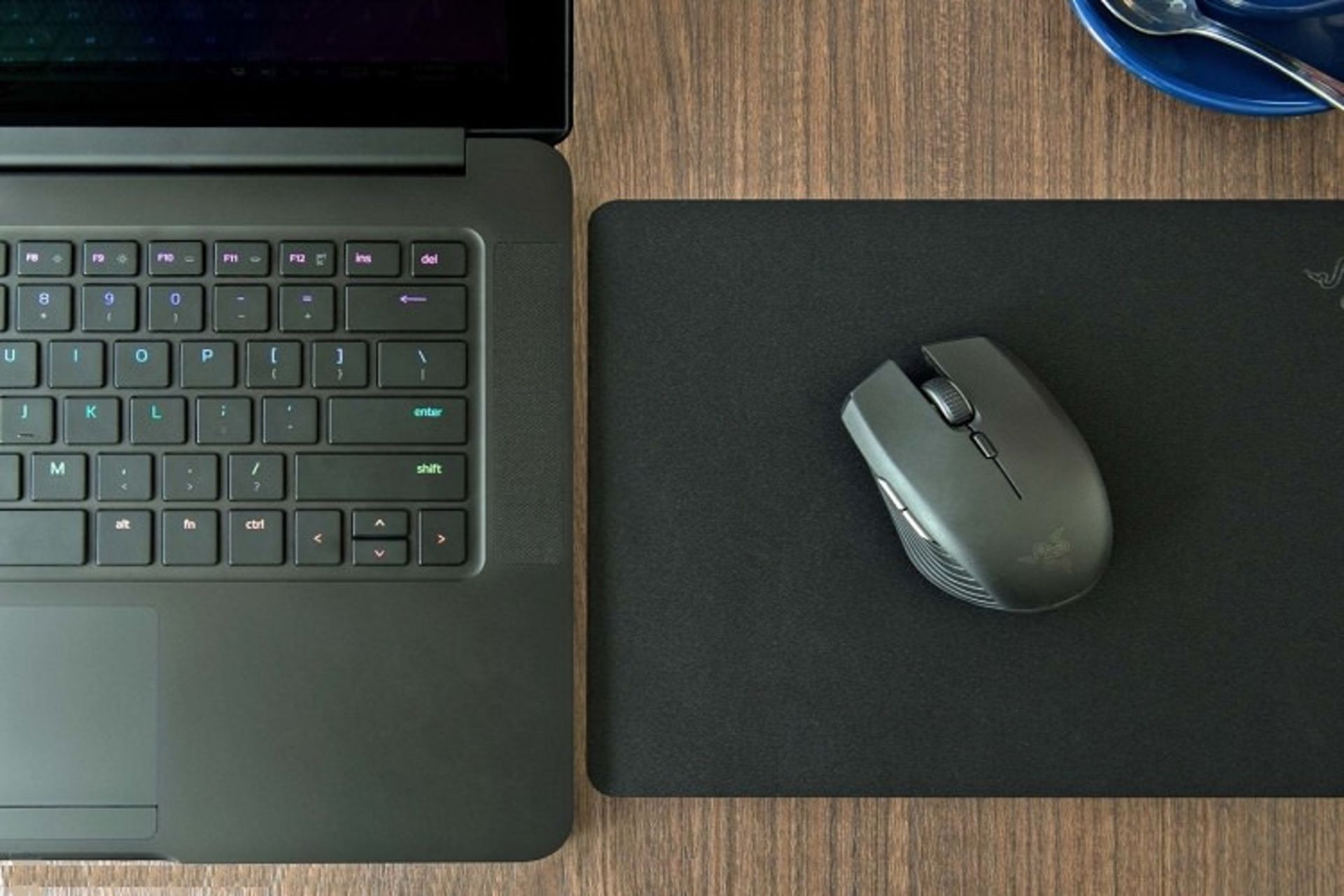 mouse