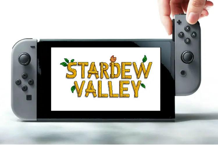 stardew valley