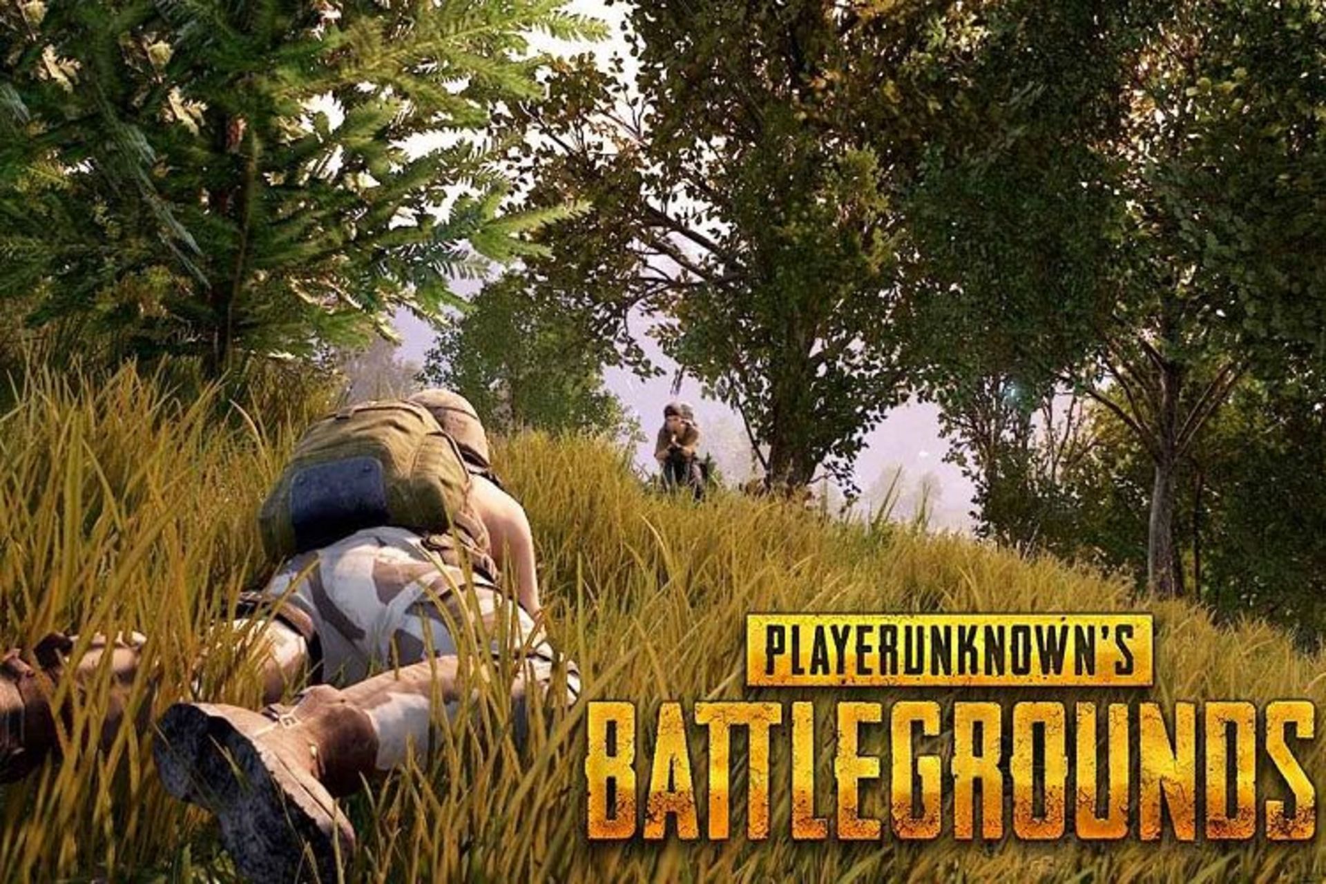 Playerunknown's Battlegrounds