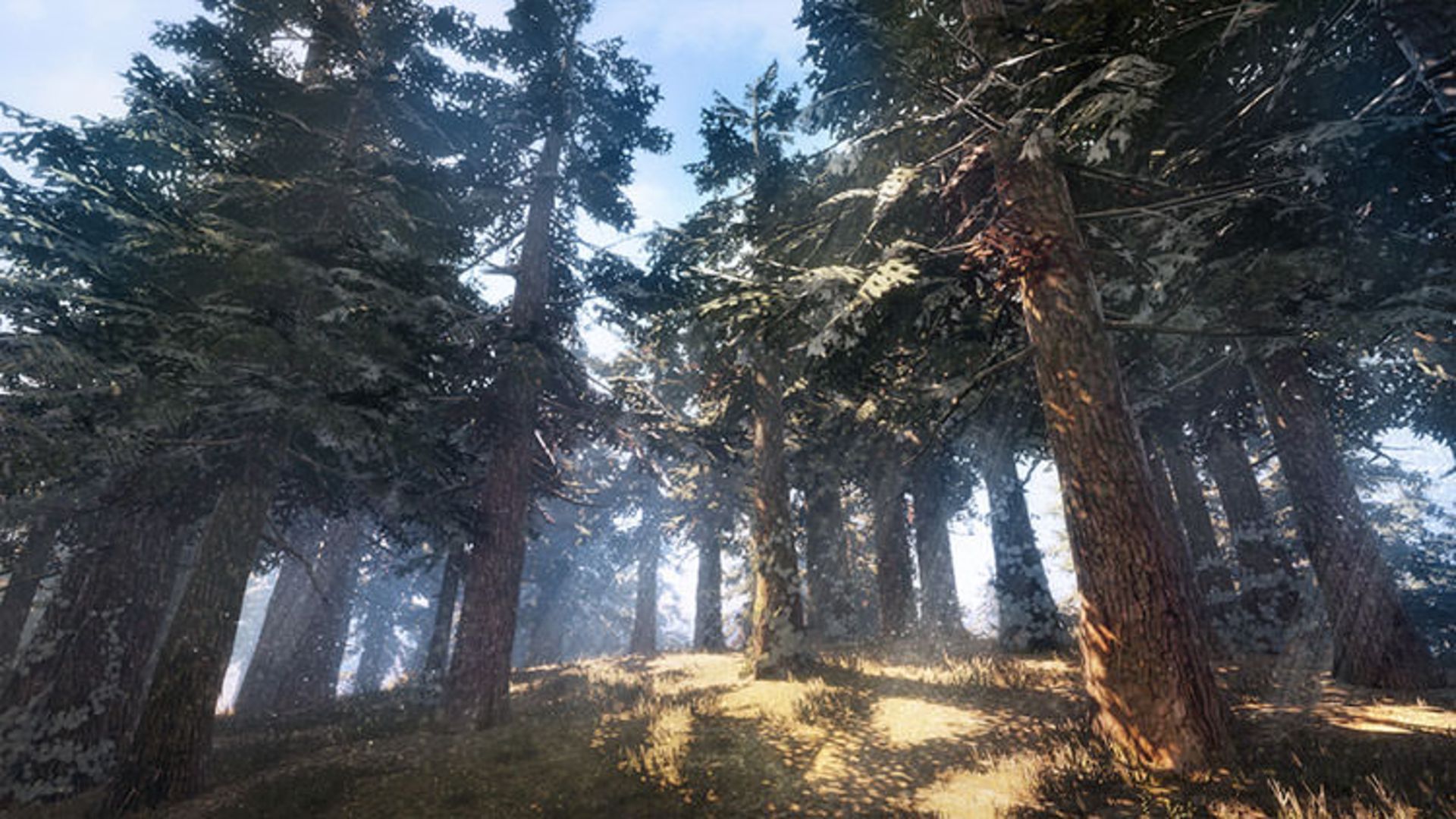 بازی Dynasty Warriors 9