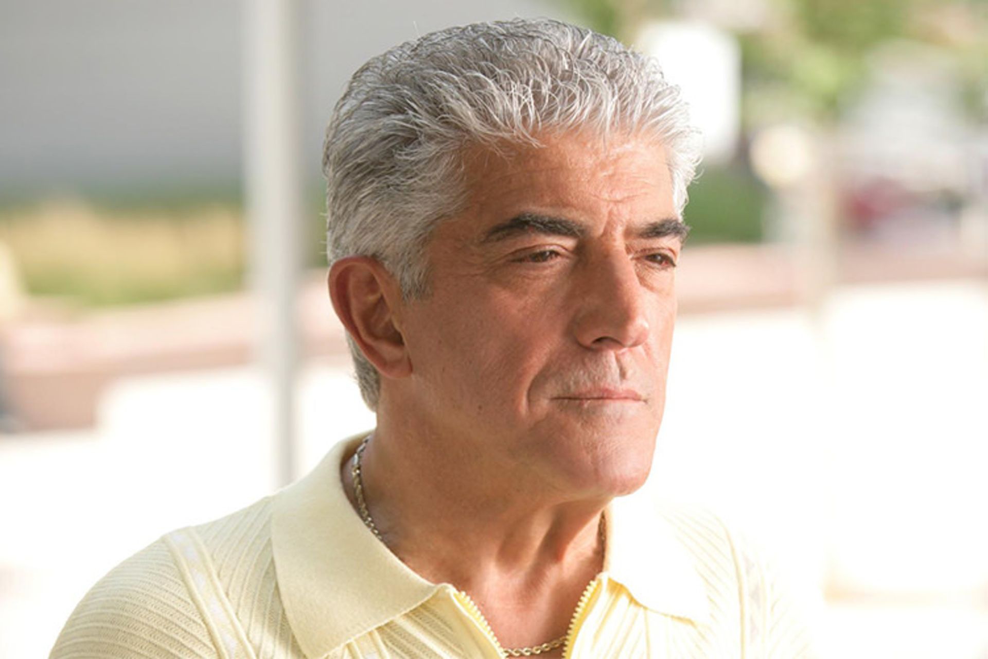 Frank Vincent