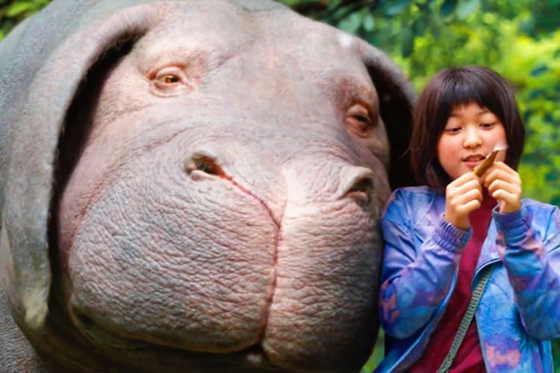 okja