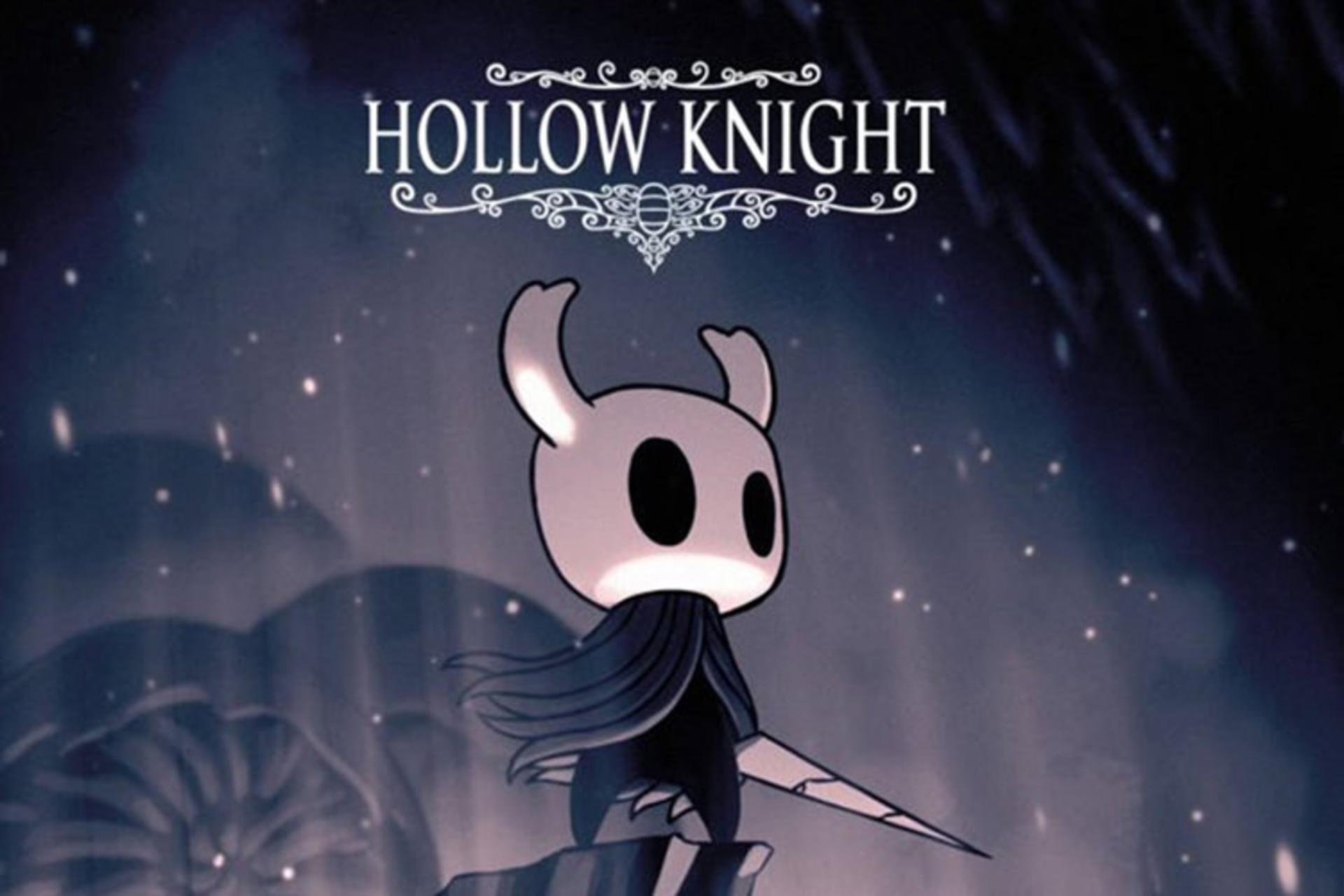 Hollow Knight  