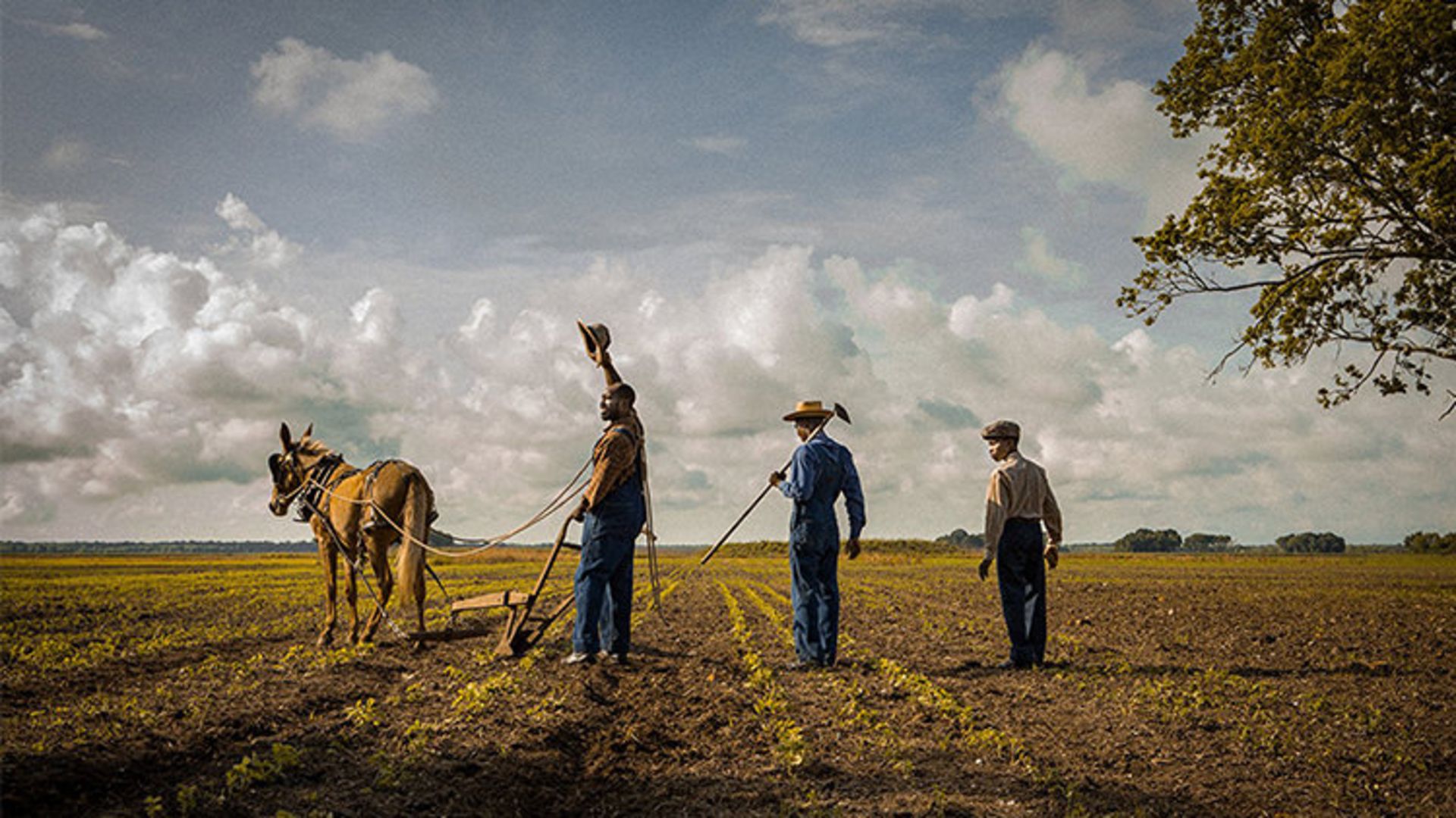 Mudbound