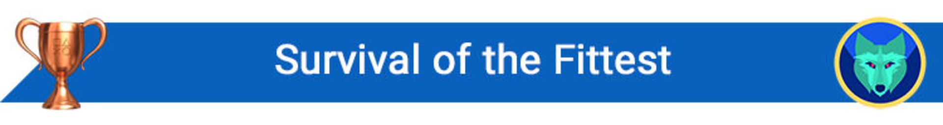 راهنمای تروفی فیفا ۱۹