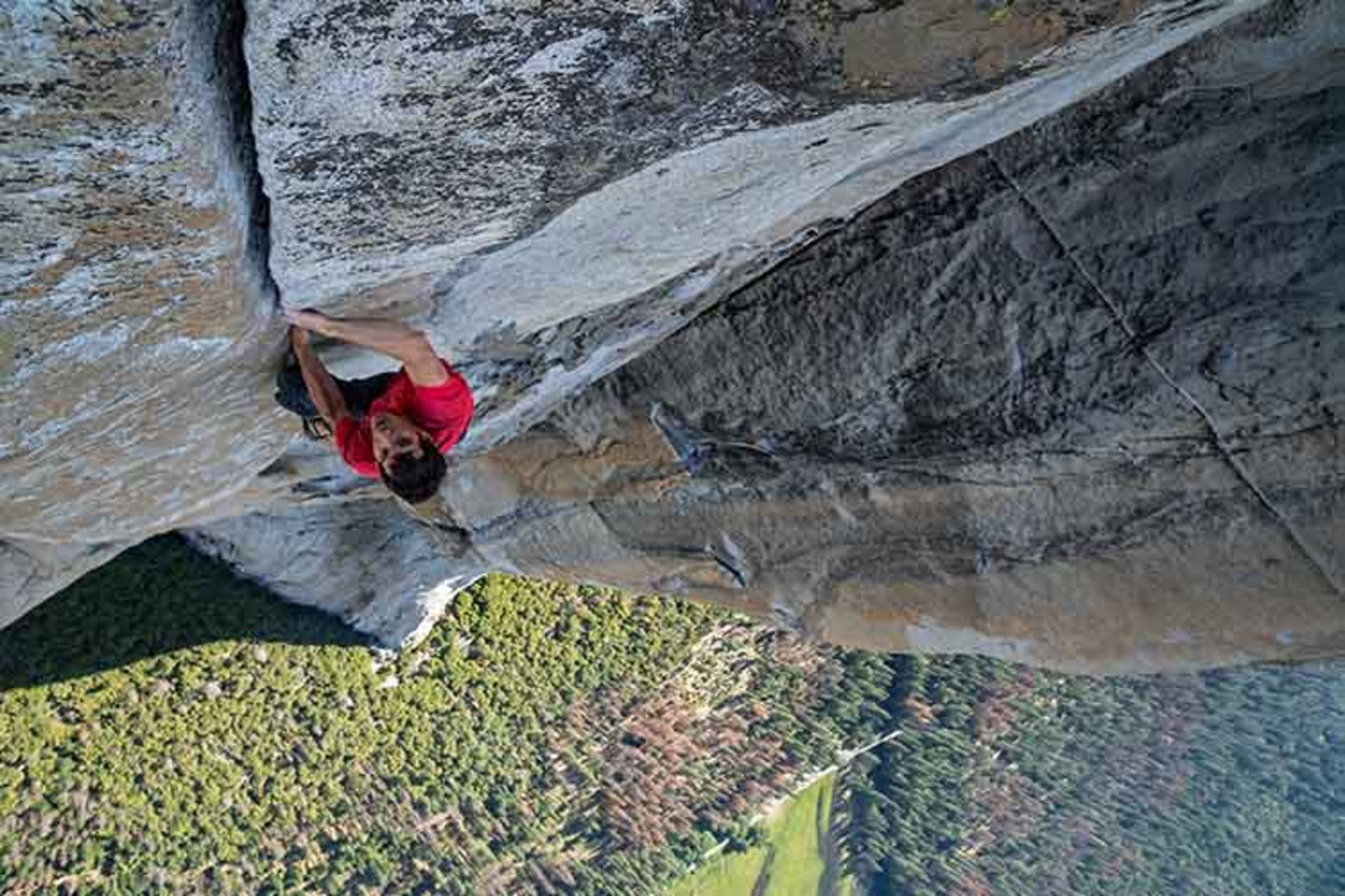 FREE SOLO