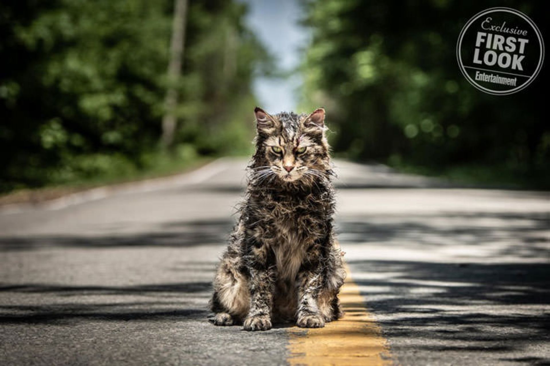 Pet Sematary