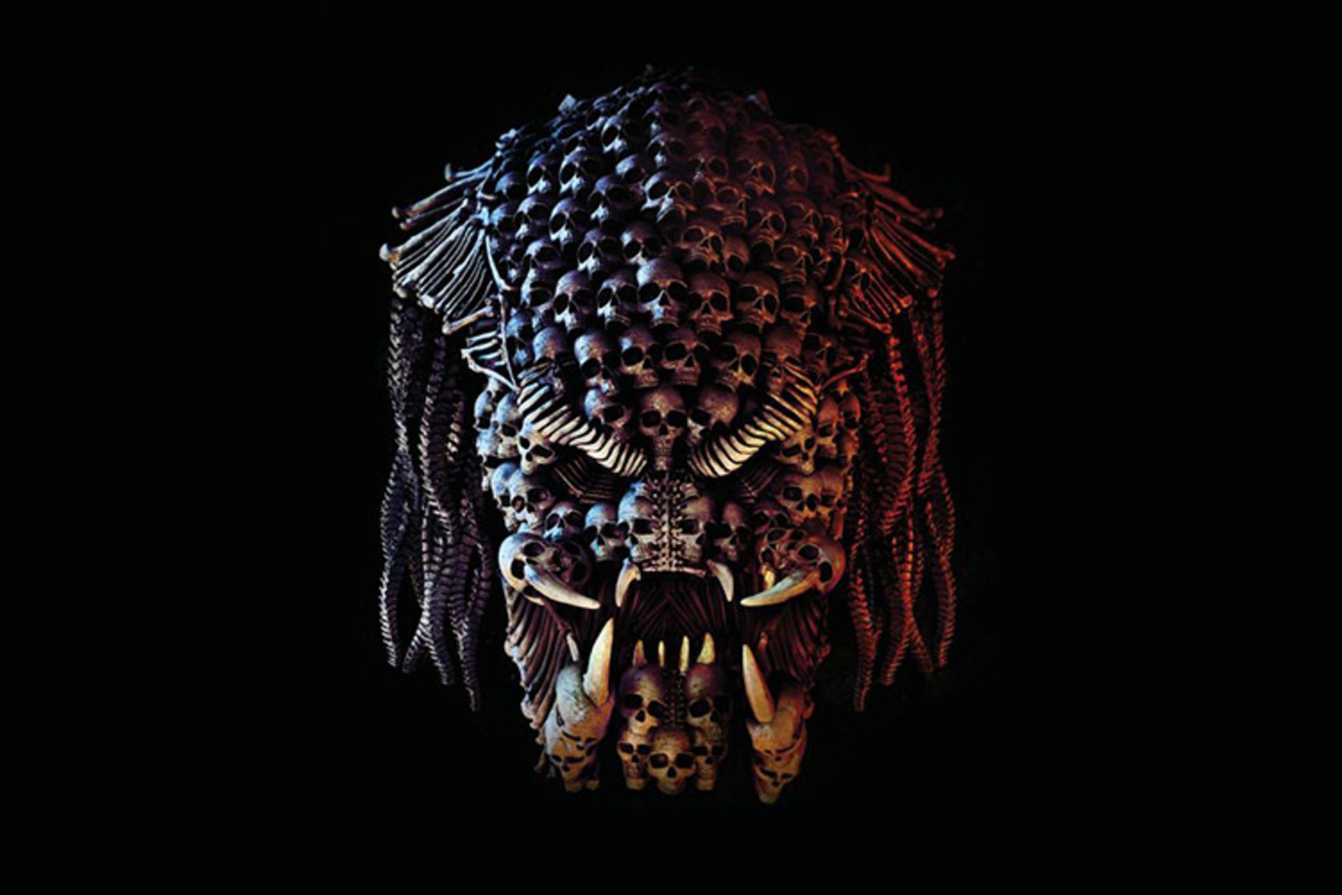 The Predator
