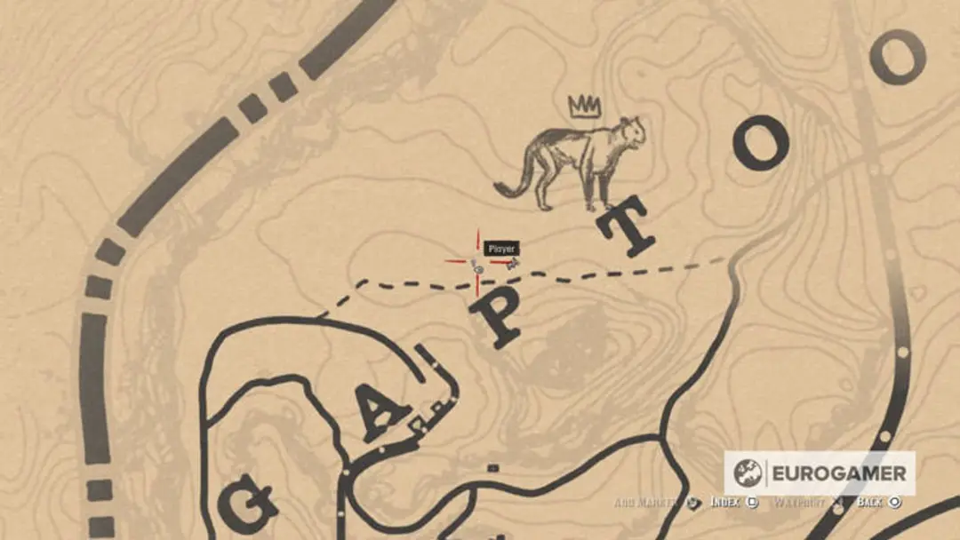 Red Dead Redemption 2 Map