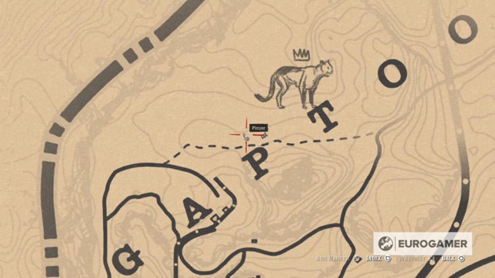 Red Dead Redemption 2 Map