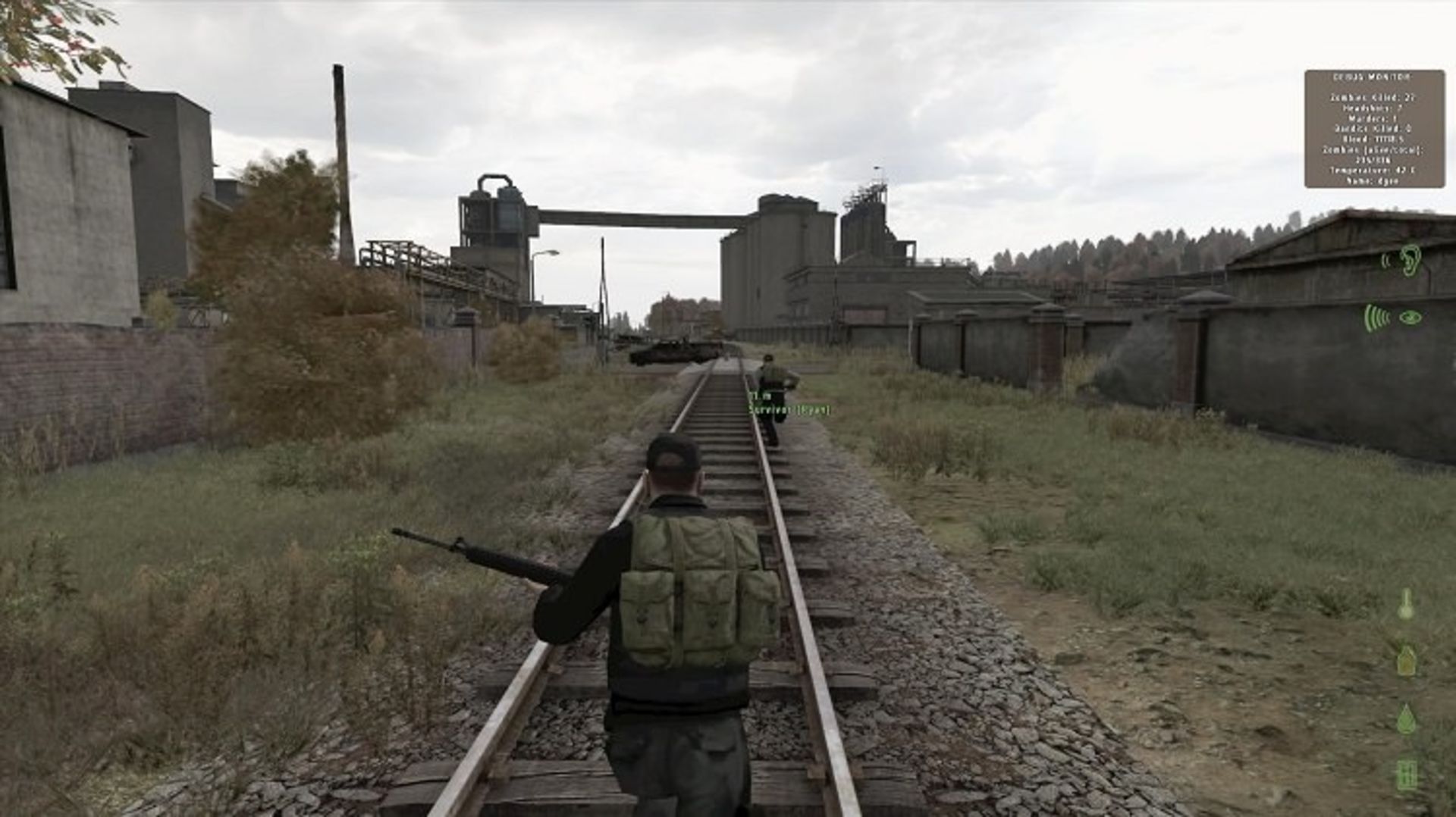 dayz