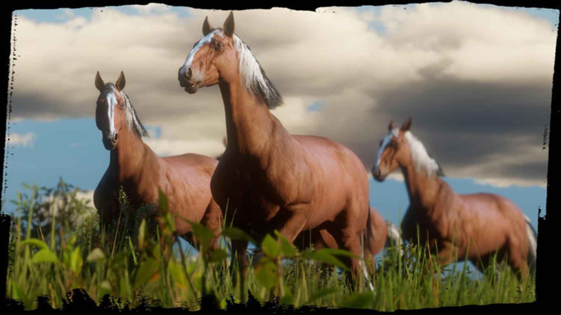 اسب های بازی Red Dead Redemption 2