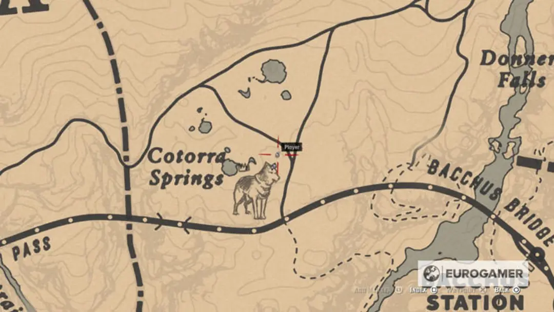 Red Dead Redemption 2 Map